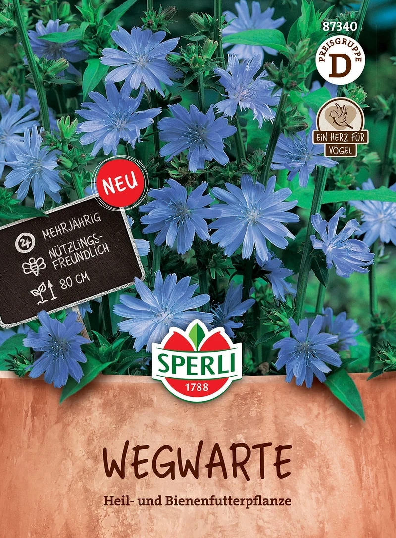SPERLI Wegwarten-Samen