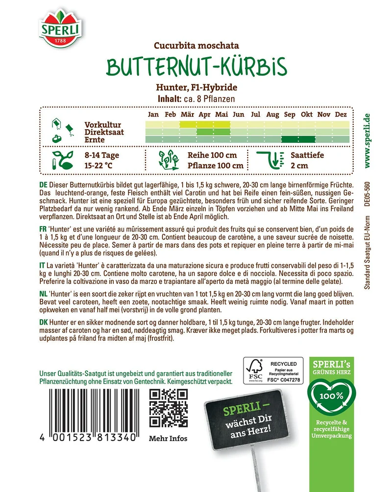 SPERLI Butternutkürbis-Samen 'Hunter'