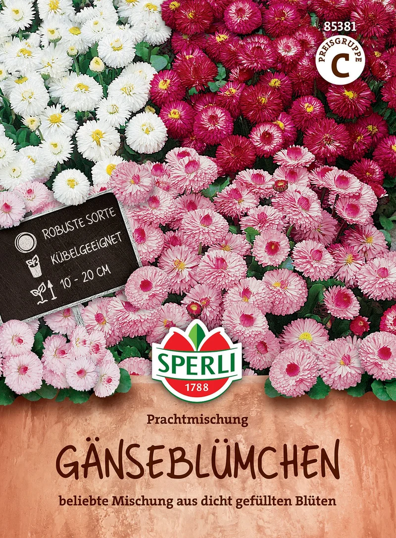 SPERLI Gänseblümchen-Samen "Prachtmischung"