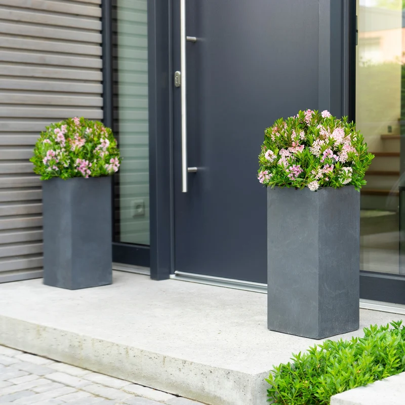 Buchsbaum-Ersatz 'Bloombux®' Busch