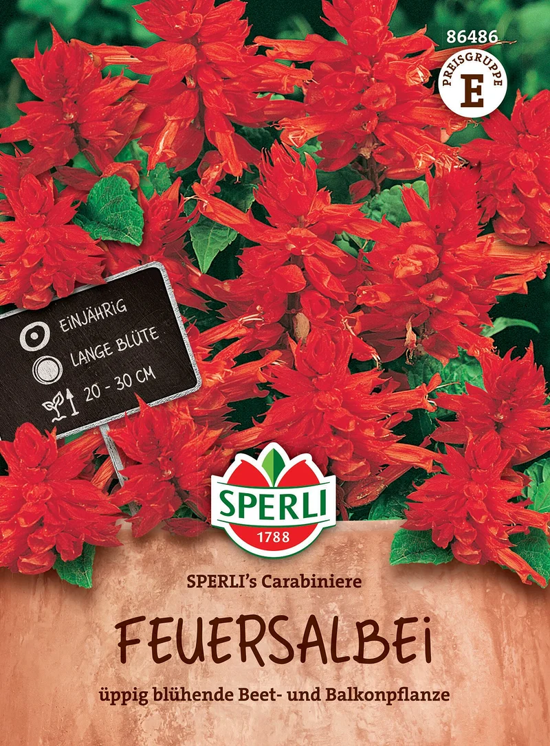 SPERLI Feuersalbei-Samen 'Carabiniere'