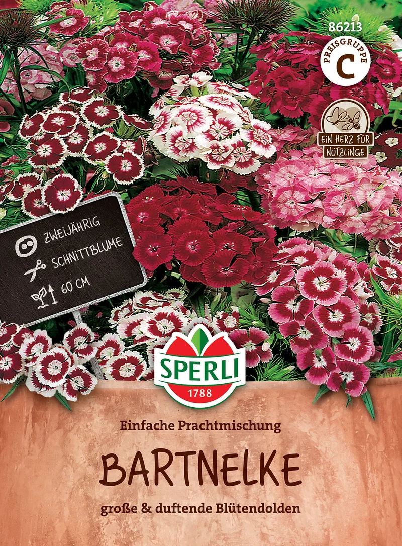 SPERLI Bartnelken-Samen "Einfache Prachtmischung"