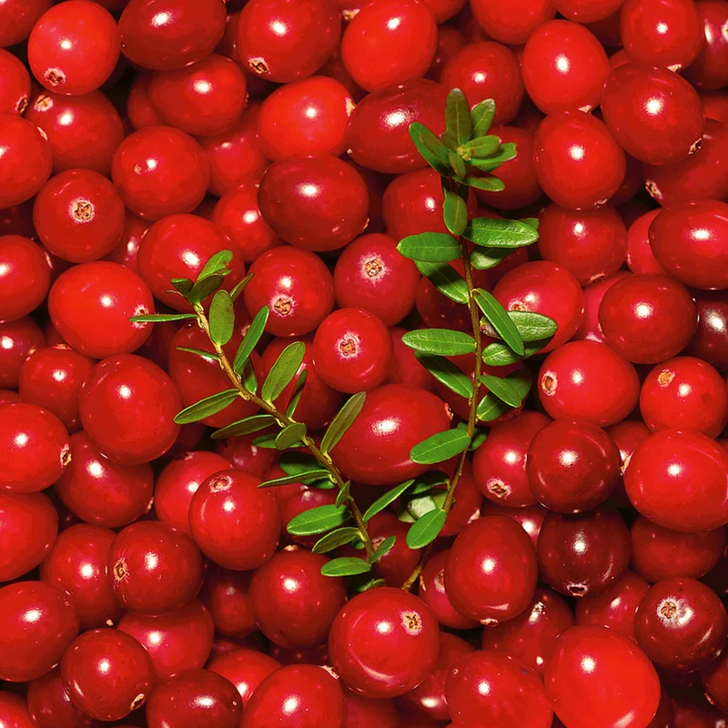 Bio Cranberry