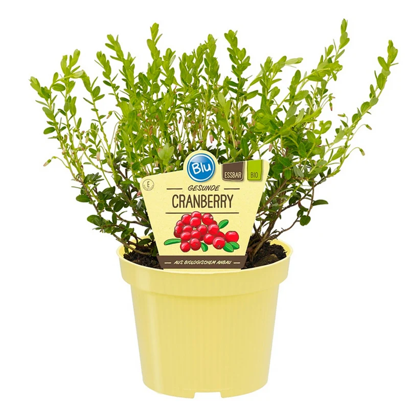 Bio Cranberry