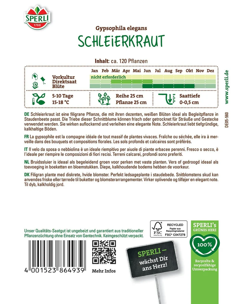 SPERLI Schleierkraut-Samen