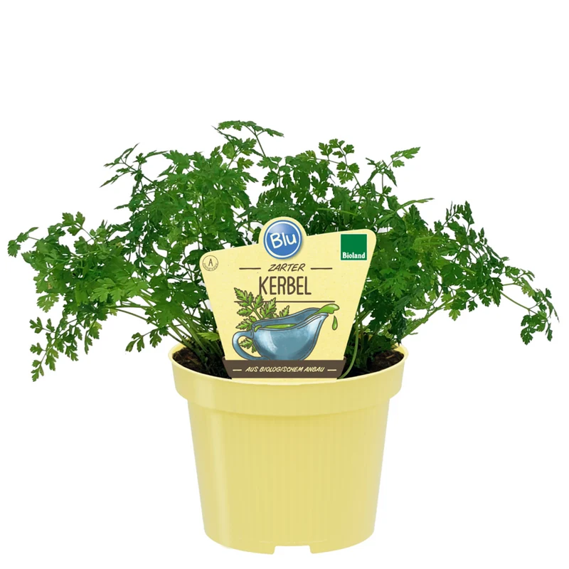 Bio Kerbel