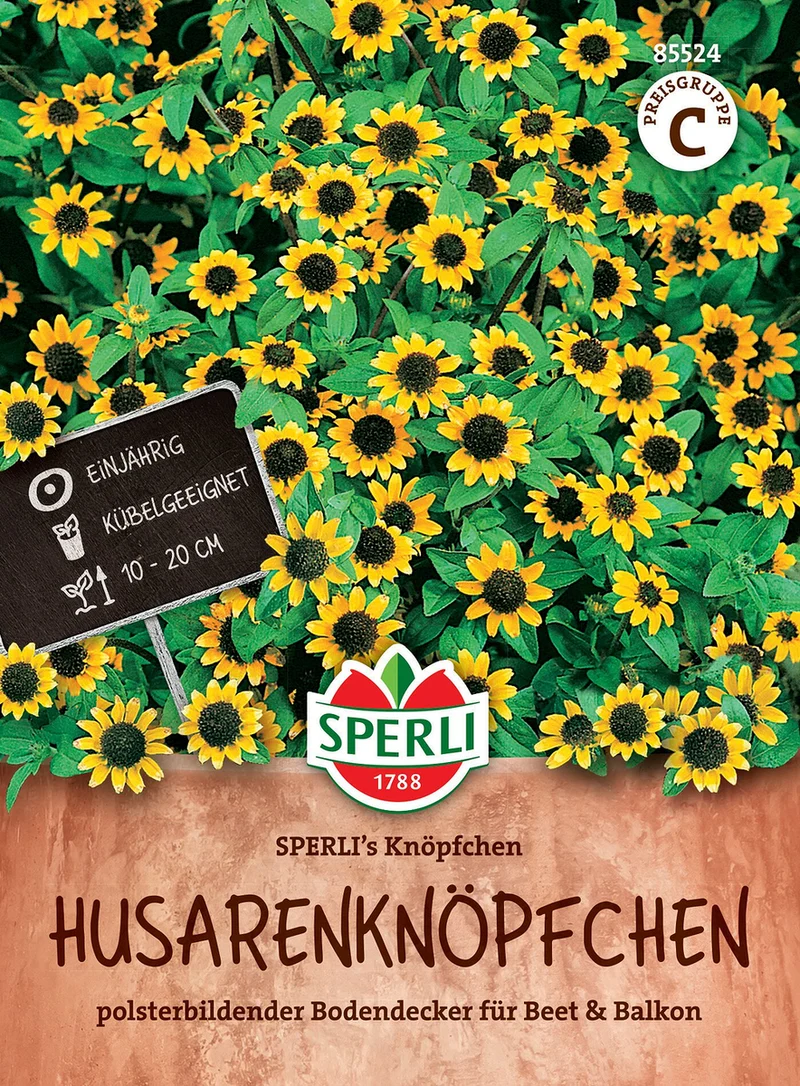 SPERLI Husarenknöpfchen-Samen 'Knöpfchen'