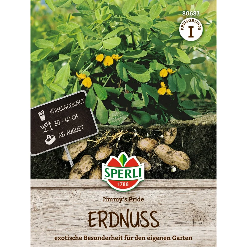 SPERLI Erdnuss-Samen 'Jimmy's Pride'