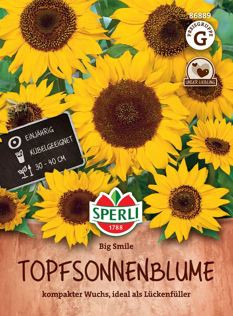 SPERLI Topfsonnenblumen-Samen 'Big Smile'