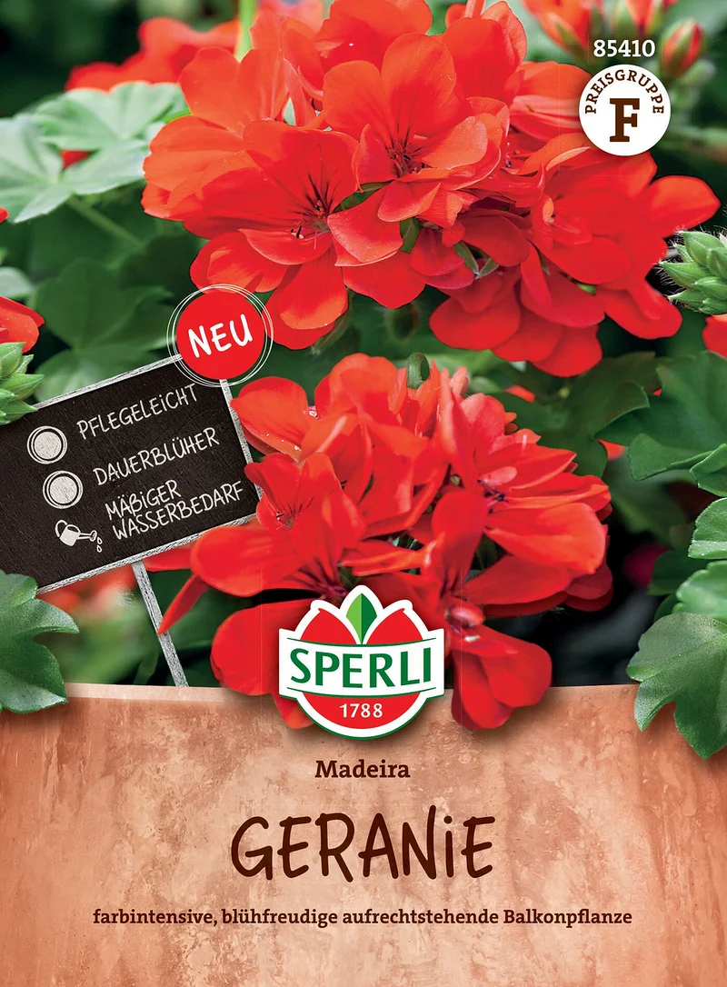 SPERLI Geranien-Samen 'Madeira'