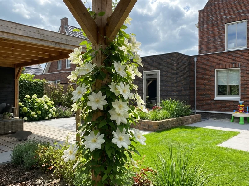 Kletterpflanze Clematis Guernsey Cream (Kissen)