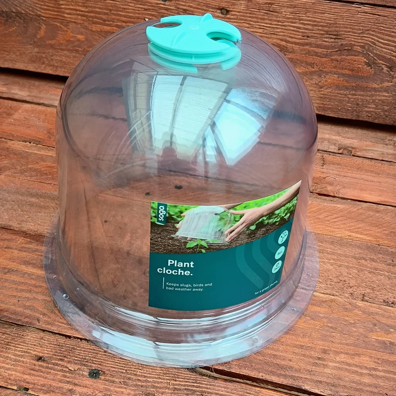 Plant Bell Cloche - 3 Pack