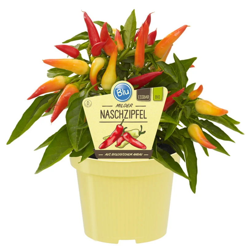 Bio Naschzipfel