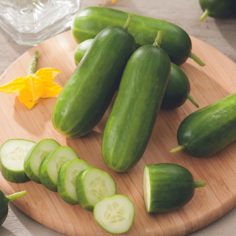Bio Gurke 'Mini-Snack-Gurke'
