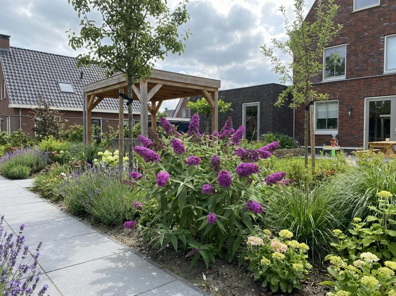 Schmetterlingsstrauch (Buddleja davidii Butterfly Candy® Little Magenta)