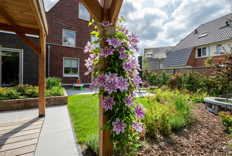 Kletterpflanze Clematis Nelly Moser (Kissen)