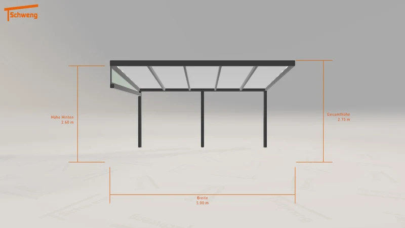 #DE Schweng Pultdachcarport S350 (ID ygzz2g) #MTG