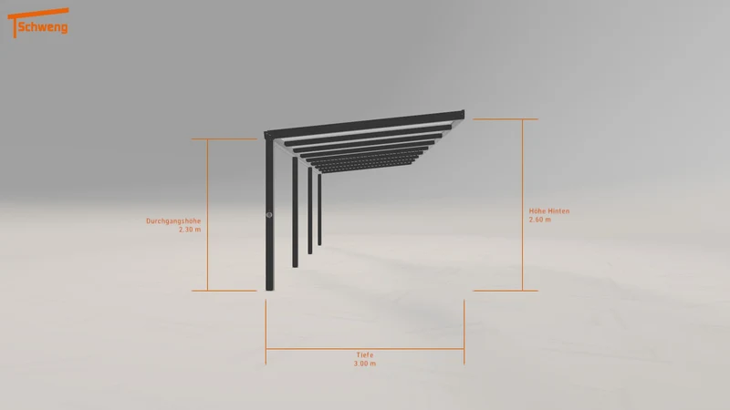 #DE Schweng Pultdachcarport S350 (ID jjgp9q) #MTG