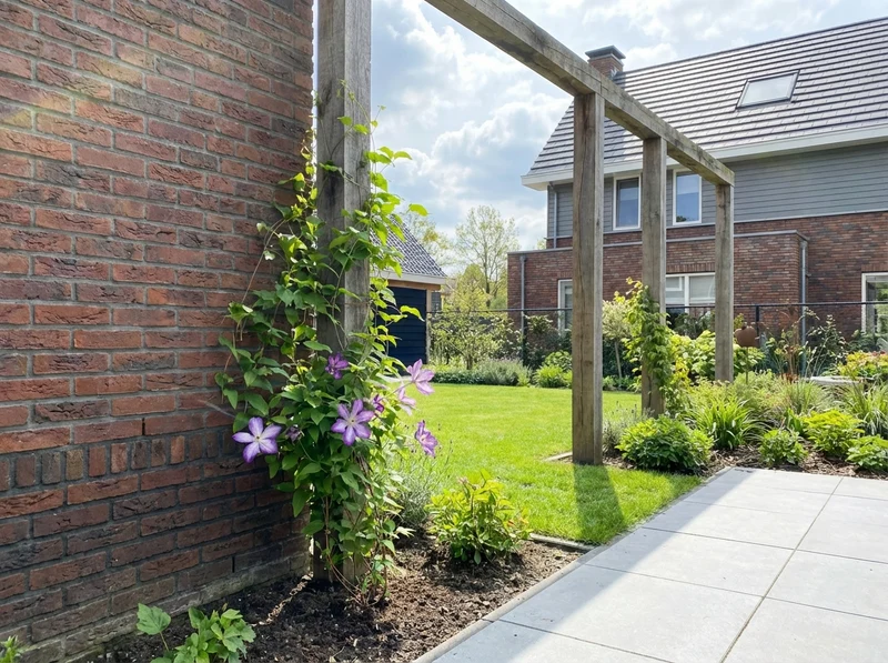 Kletterpflanze Clematis Pernille PBR (Kissenrebe)