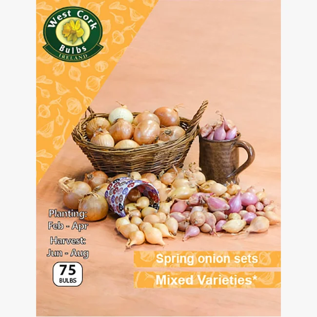 Onion Sets: Mixed Varieties