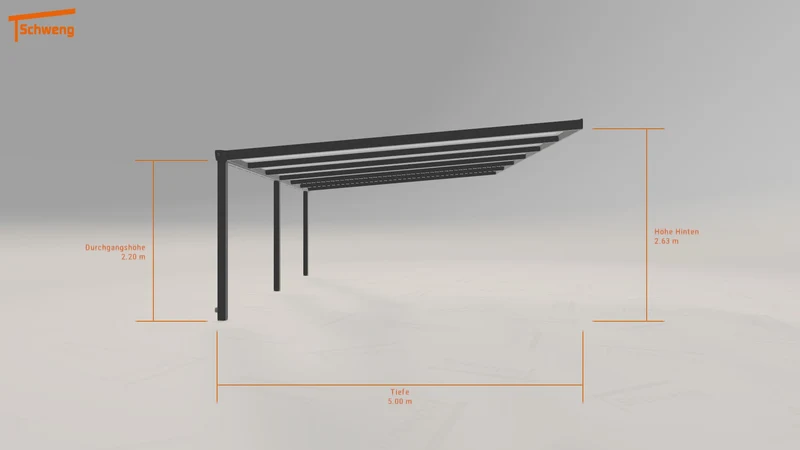 #DE Schweng Pultdachcarport S400 (ID mjvry4)