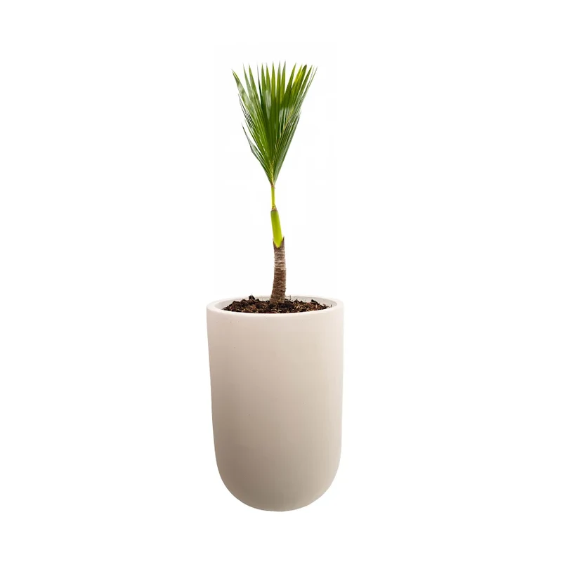 Blumentopf aus Zement – Light Grey