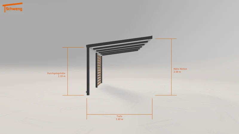 #DE Schweng Pultdachcarport S350 (ID 2q95nq) #MTG