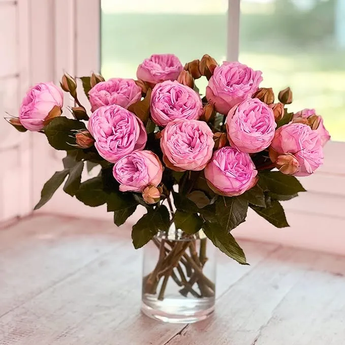 Pink Lisianthus Seeds – Premium Eustoma Grandiflorum for Garden Planting