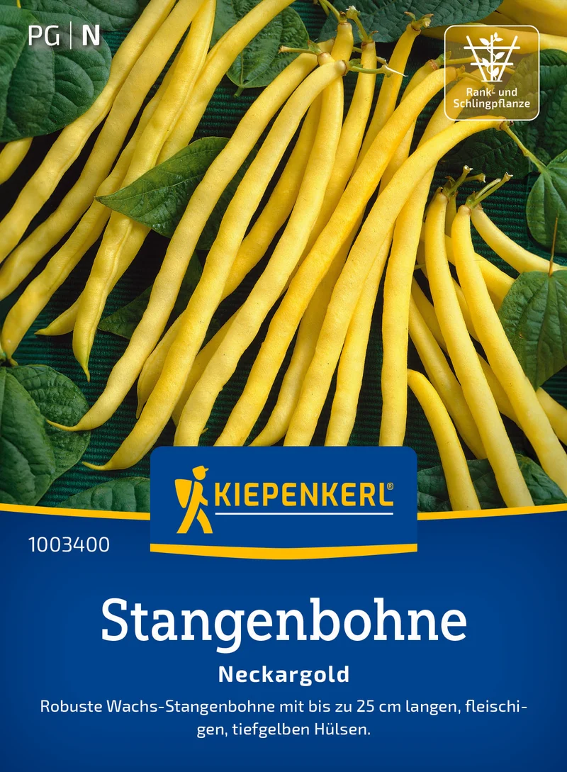 Stangenbohne Neckargold Saatgut