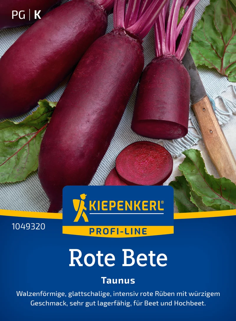 Rote Bete Taunus F1 Saatgut