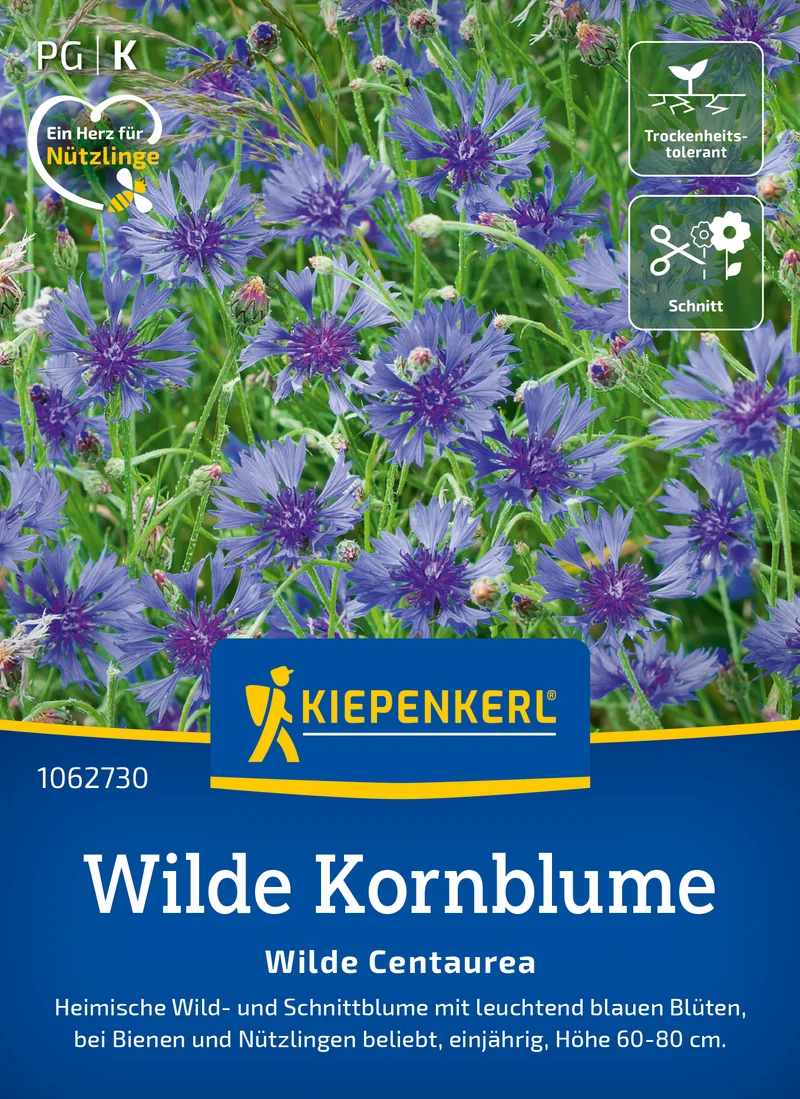 Wilde Kornblume Saatgut