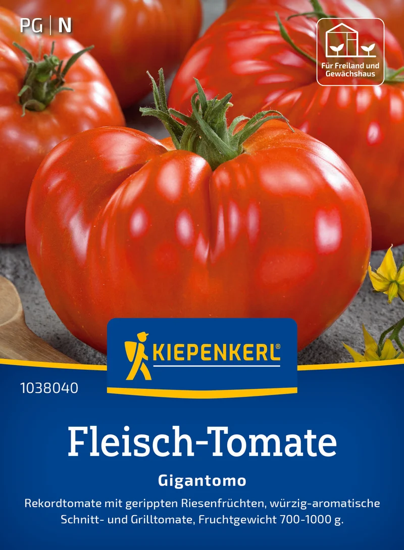 Fleisch Tomate Gigantomo F1 Saatgut