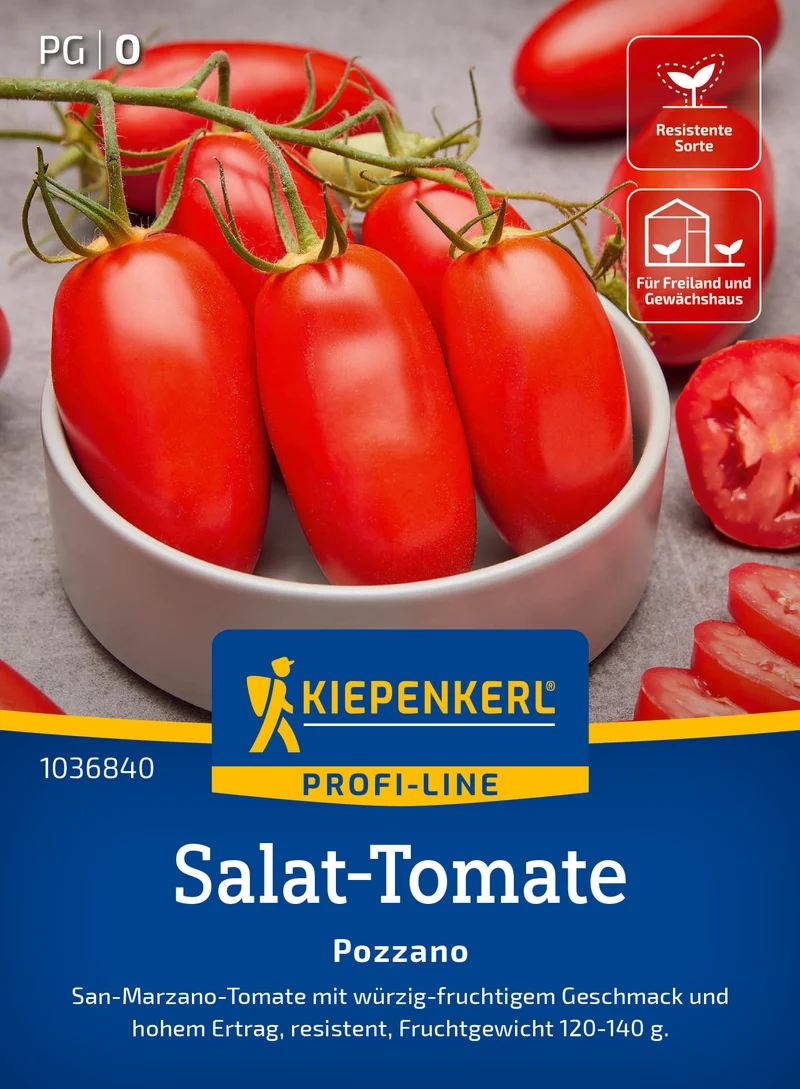 Salat Tomate Pozzano F1 Saatgut