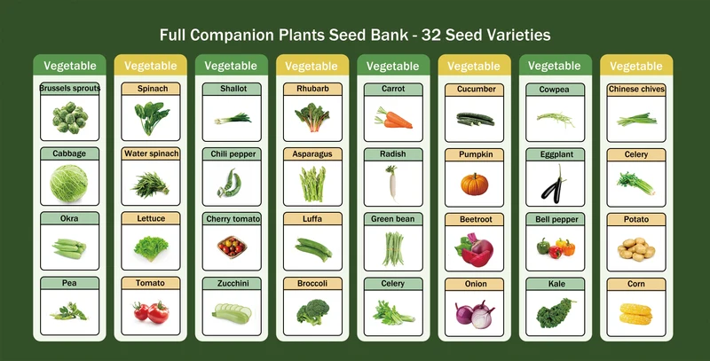 All-in-One Vegetable Seed Bank - 32 Seed Varieties