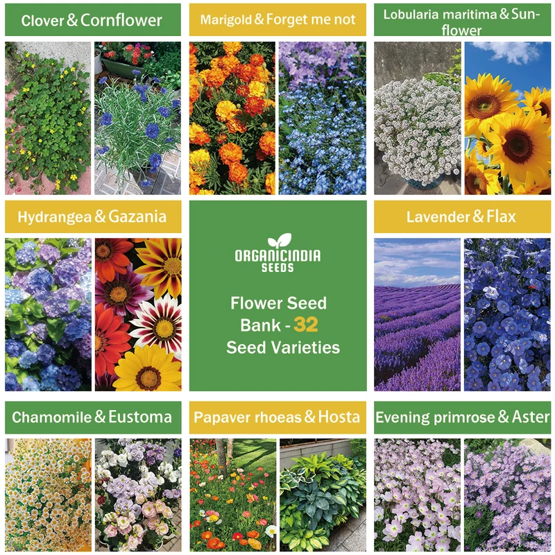 All-in-One Flower Seed Bank - 32 Seed Varieties