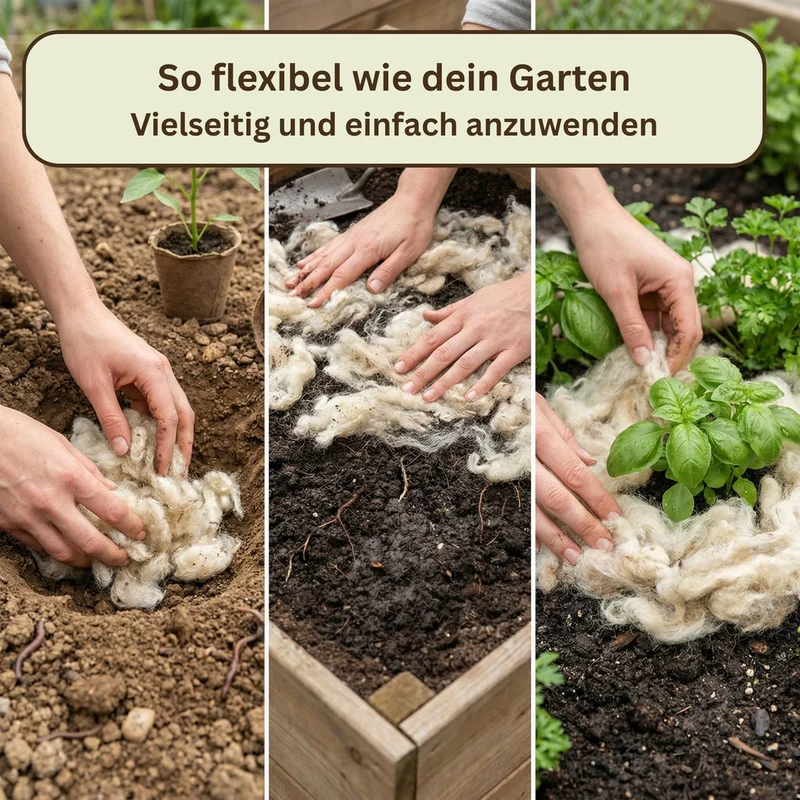 GartenAZ Düngewolle 1kg aus Schafwolle – Langzeitdünger & Mulch
