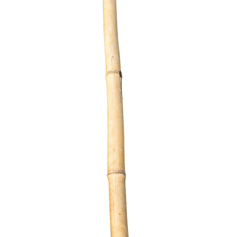 bellissa Bambusstäbe