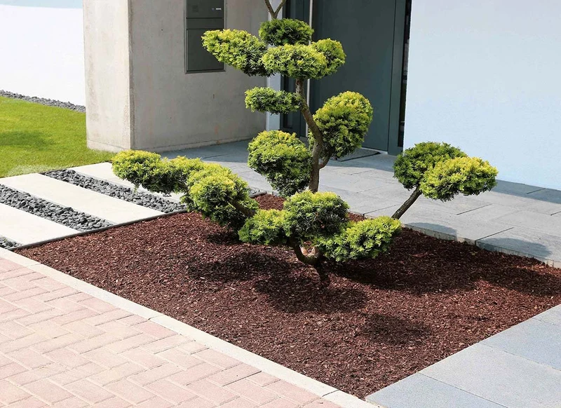 Rindenmulch lose