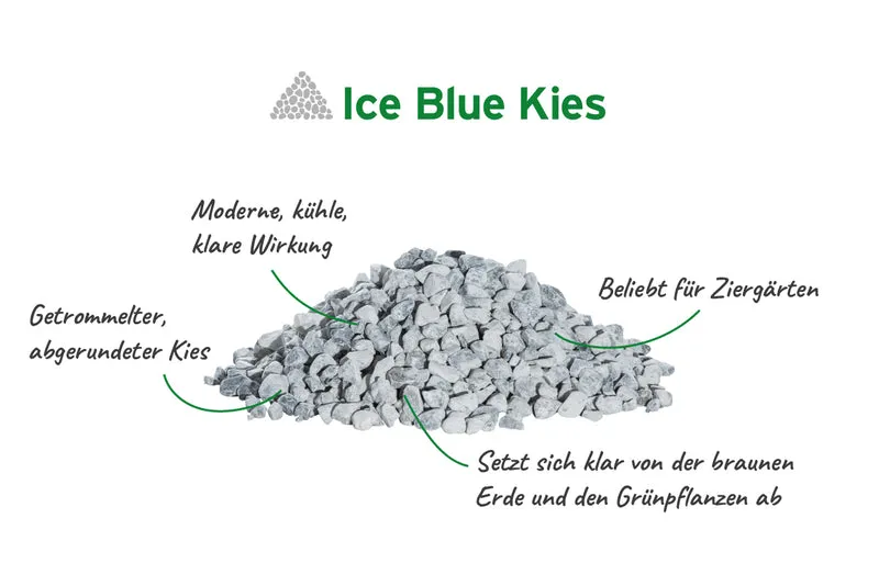 Ice Blue Kies