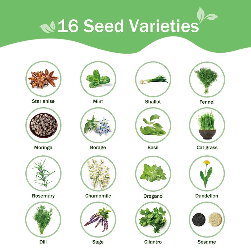 All-in-One Herb Seed Bank - 16 Seed Varieties