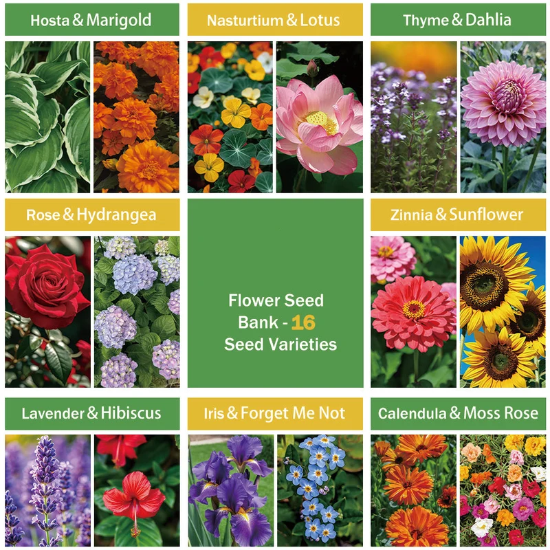 All-in-One Flower Seed Bank - 16 Seed Varieties
