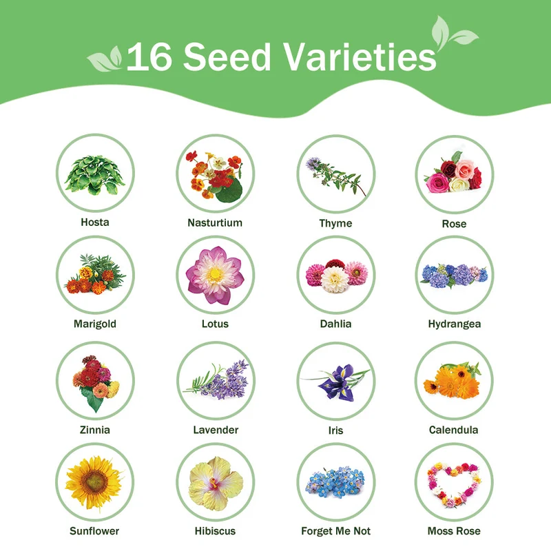 All-in-One Flower Seed Bank - 16 Seed Varieties