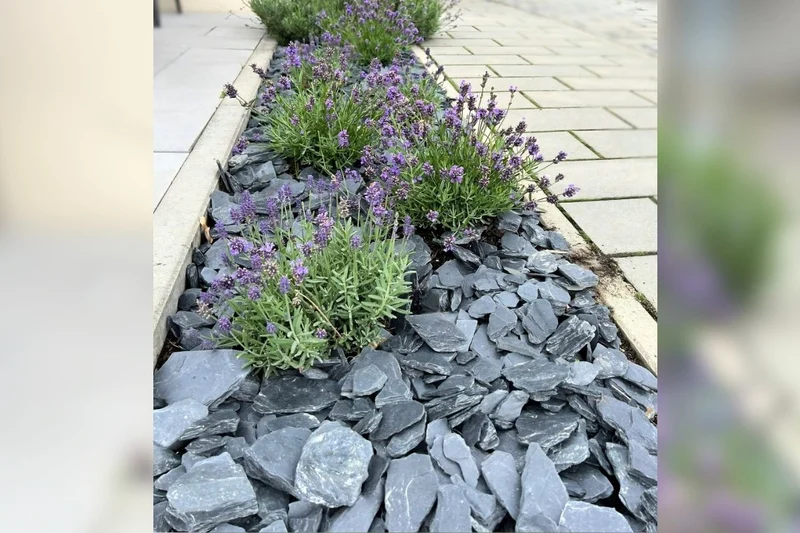 Canadian Slate Schiefersplitt schwarz anthrazit