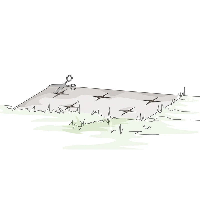 bellissa Mulch- & Unkrautvlies, L200 x B100 x H0,5 cm, 100% Schafwolle