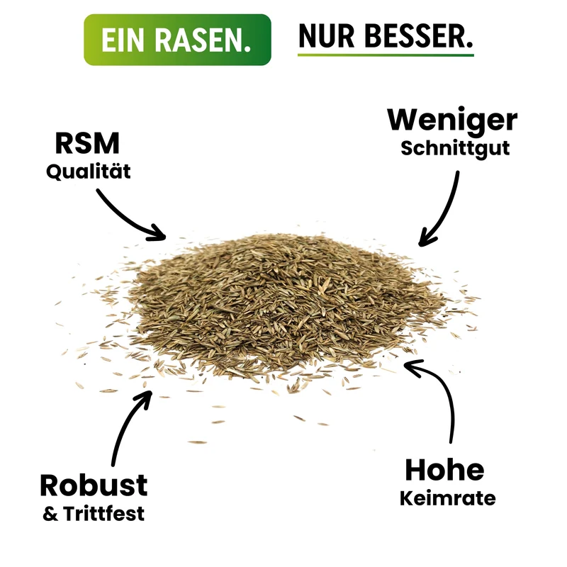 Schattenrasen RSM