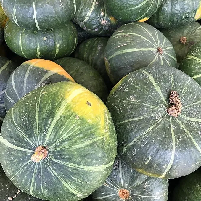 Japanese Green Pumpkin Seeds, Traditional, Flavorful And Nutritious
