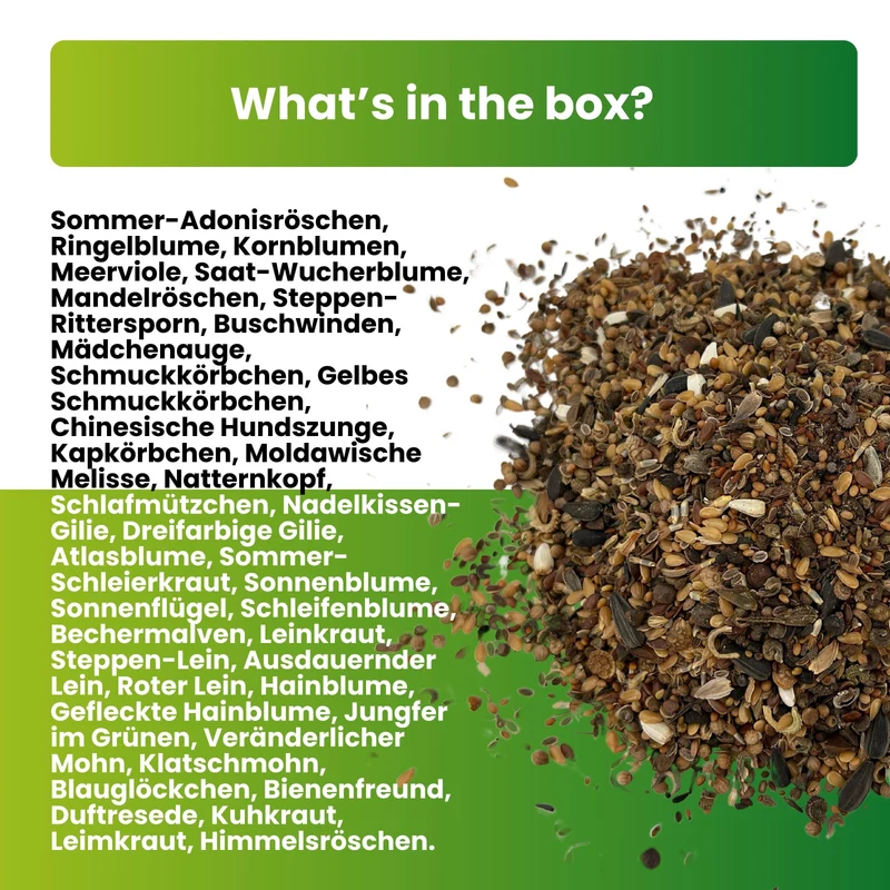 Sommer Blumenmischung