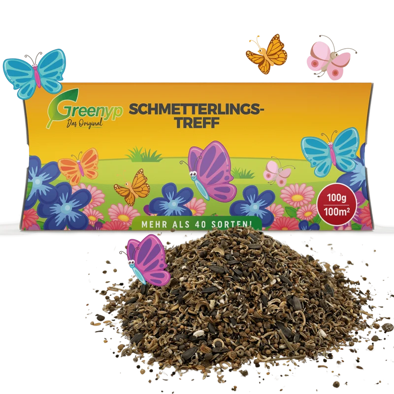 Schmetterlingstreff
