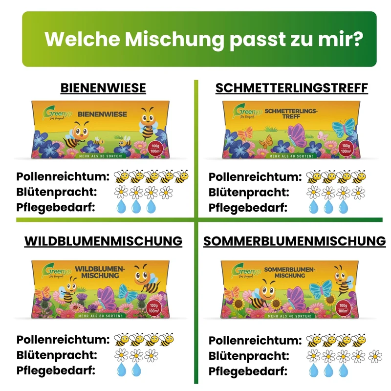 Schmetterlingstreff