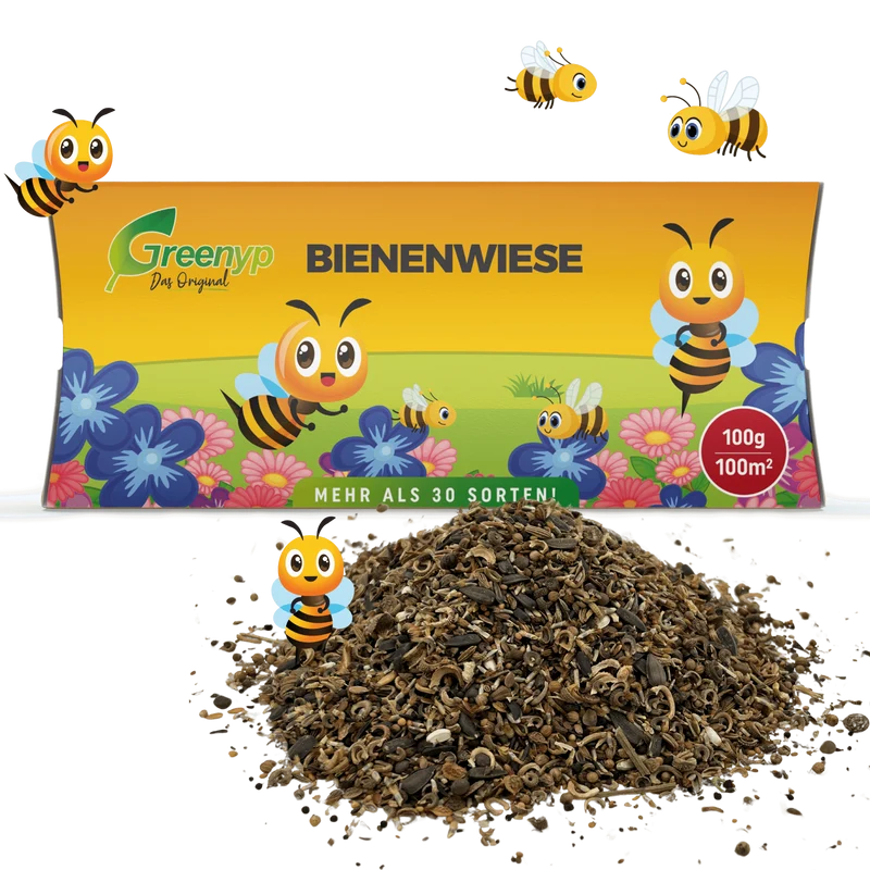 Bienenwiese
